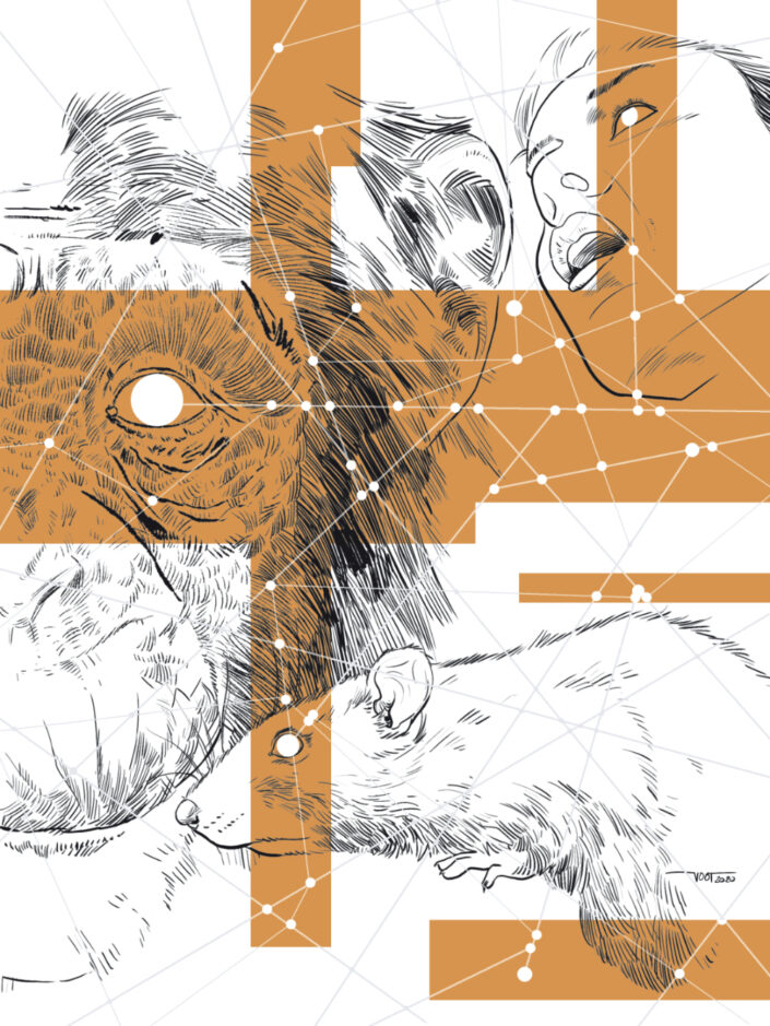 Buchillustration